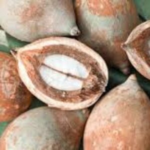 آیا کک و مک ژنتیکی است؟